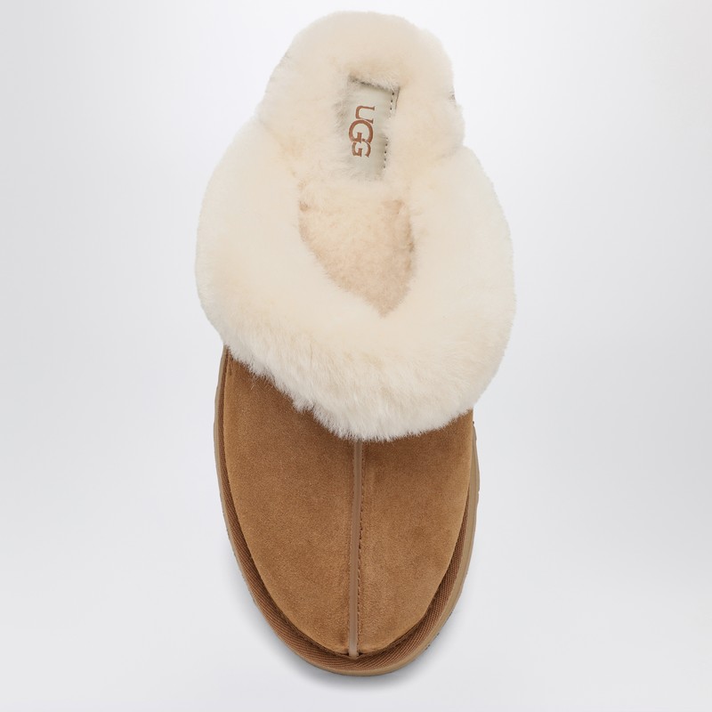 Ugg Disquette Flat Shoes Brown In Brown