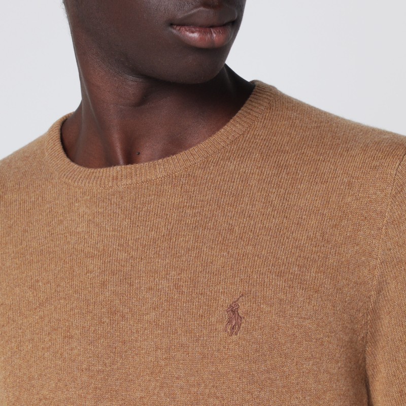 Polo Ralph Lauren Wool Crew Neck Sweater With Ribbed Cuffs In Brown