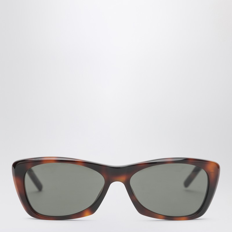 SL 613 Havana sunglasses