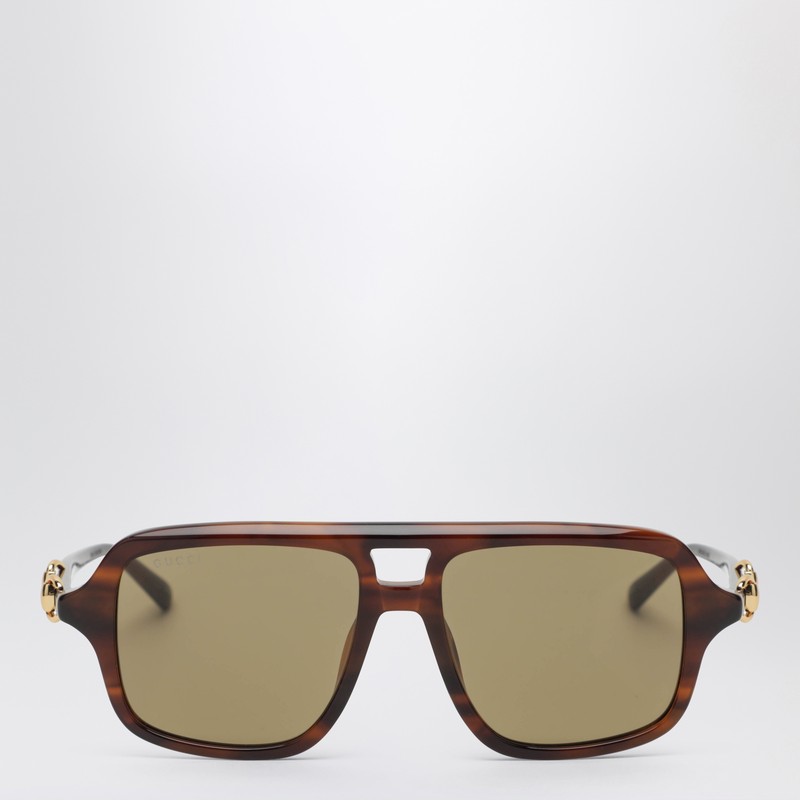 Brown Navigator sunglasses