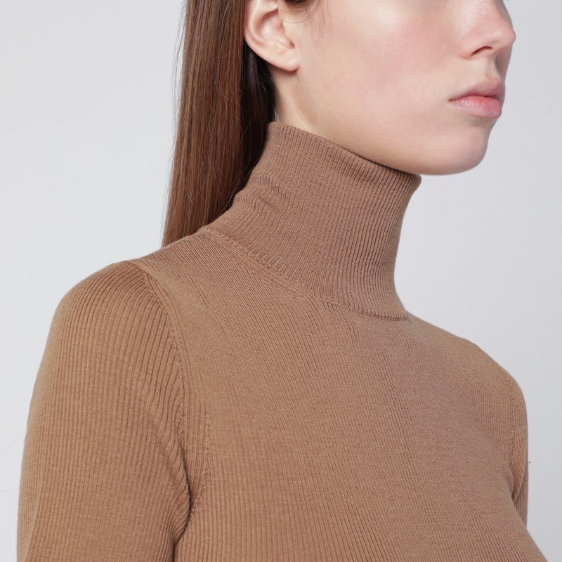 Max Mara Camel Wool Turtleneck In Brown