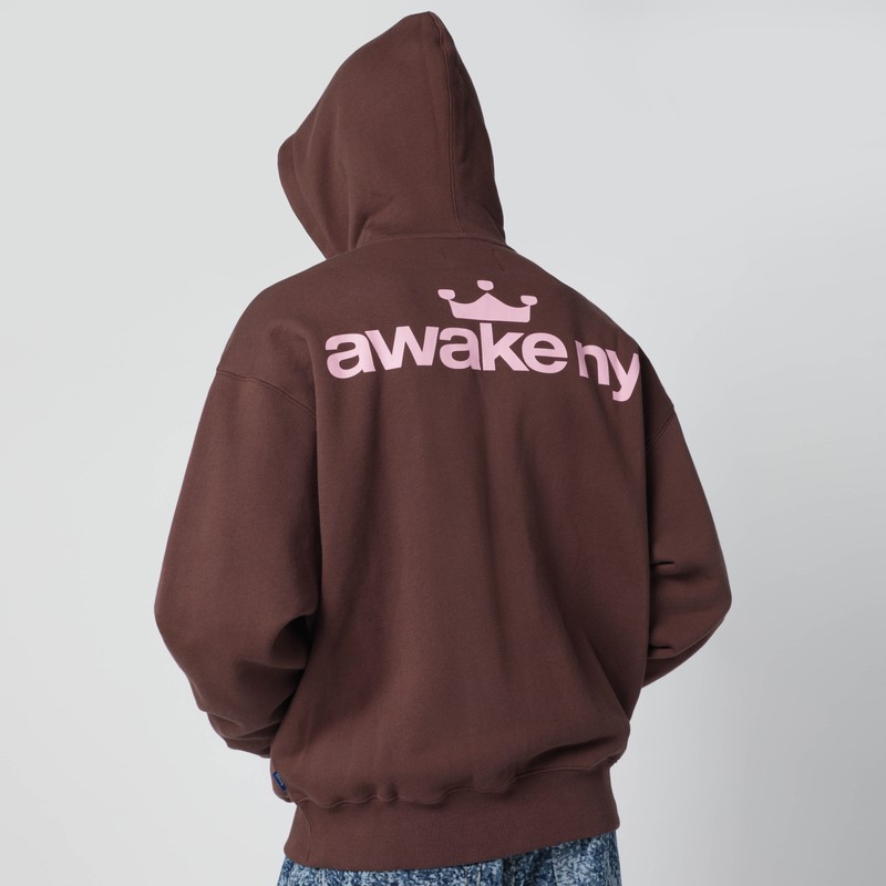 Awake Ny Brown Hooded Sweatshirt With Logo Print In Brown