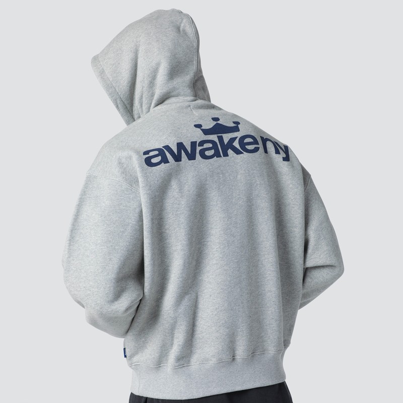 Awake Ny Grey Hooded Sweatshirt With Logo Print In Gray