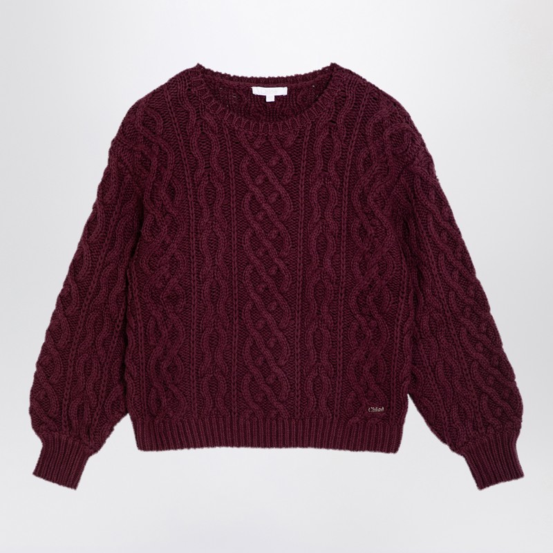 Chloé Wool And Cotton Burgundy Jumper In Burgundy