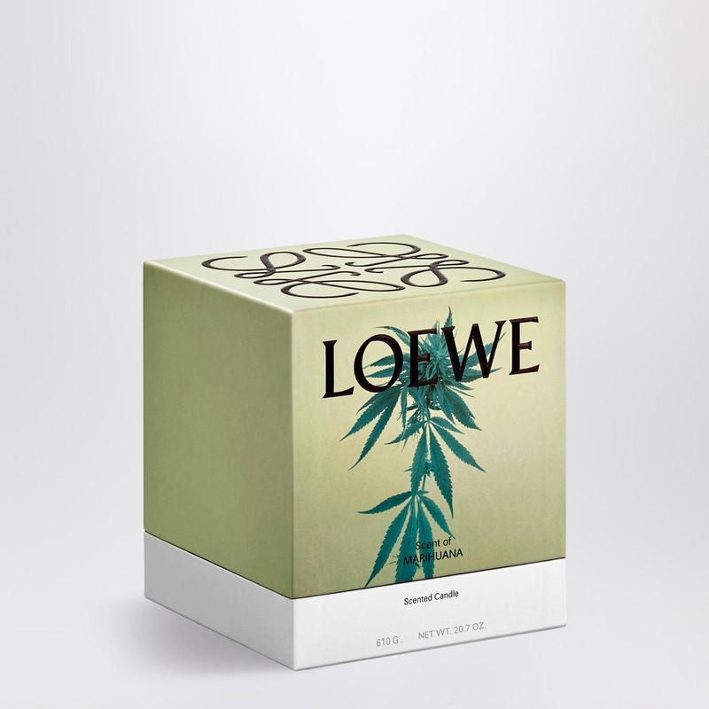 Loewe Scent Of Marihuana Medium Scented Candle 1.15kg In Green