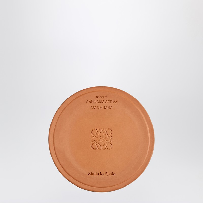 Loewe Scent Of Marihuana Medium Scented Candle 1.15kg In Green
