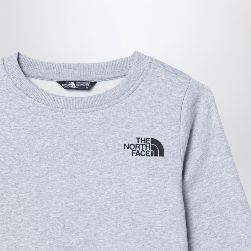 The North Face Grey Plush Cotton Sweatshirt In Grey