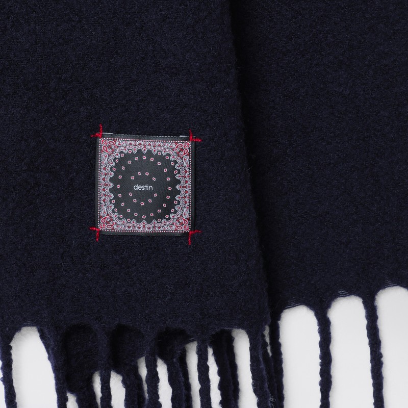 Destin Wool And Cashmere Fringed Scarf In Blue