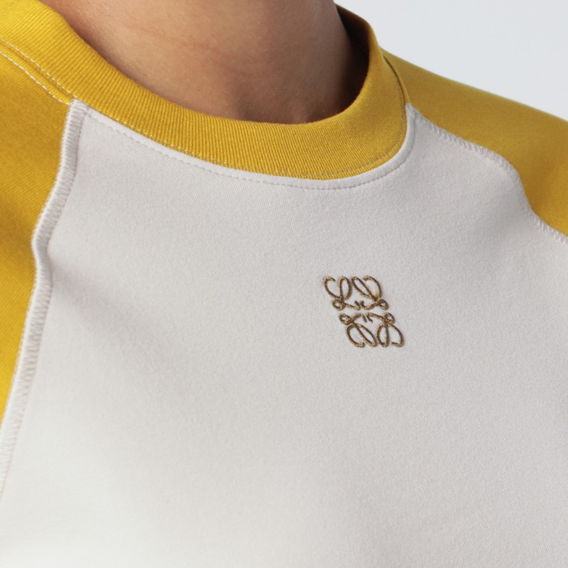 Loewe Mustard/bronze Slim T-shirt In Brown